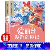爱丽丝漫游奇境记 [正版]世界100个自然奇观彩图注音版小学生一年级阅读课外书必读老师语文基础阅读配套丛书二三年级读物带