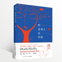 音像但总有人正年轻蓝石