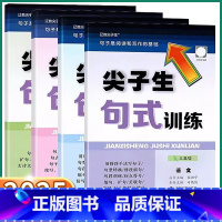 三年级 尖子生句式训练 [正版]2025新版辽教尖子生小学生句式训练三年级四年级五年级六年级语文人教版全国通用句子是阅读