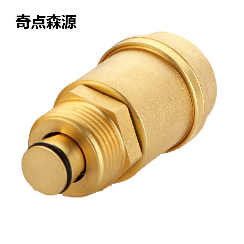 奇点森源 自动排气阀QD-125 DN20 个