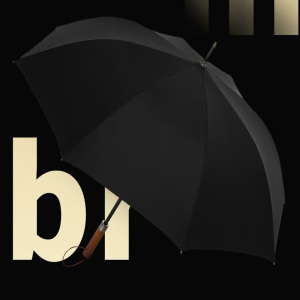 陇步昇 LBS-SS778JC 直柄自动雨伞黑色