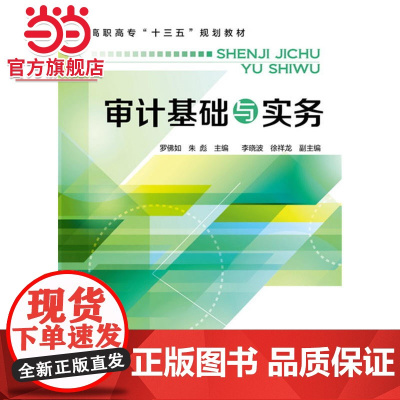 审计基础与实务(罗佛如)