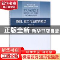 正版 原则、效力与法律的概念 刘叶深著 中国政法大学出版社 9787