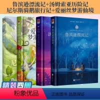 六年级下课外书(4册) [正版]精装|汤姆索亚历险记+鲁滨逊漂流记(2册)中文版原著完整版青少年初中小学生六年级读课外读
