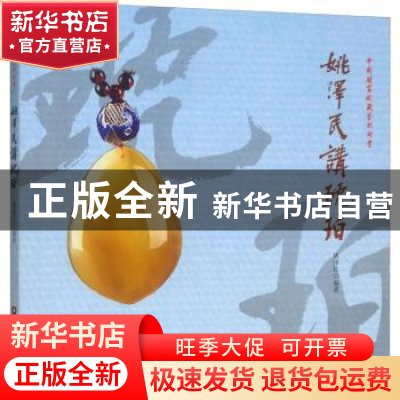 正版 姚泽民讲琥珀 姚泽民 中国财富出版社 9787504766946 书籍