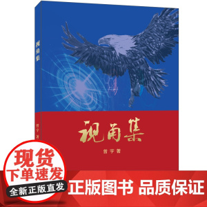 视角集