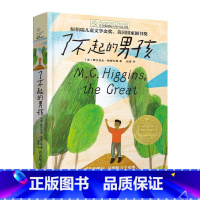 了不起的男孩 [正版]了不起的男孩 长青藤国际大奖小说书系 纽伯瑞儿童文学金奖 美国国家图书奖 小学三四五六年级课外阅读