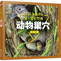 音像让孩子着迷的堂自然课 动物巢穴童心