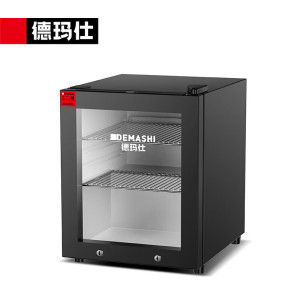 德玛仕(DEMASHI)食品留样柜LG-50LA1冷藏保鲜柜 学校幼儿园公司食堂留样 水果蔬菜保鲜