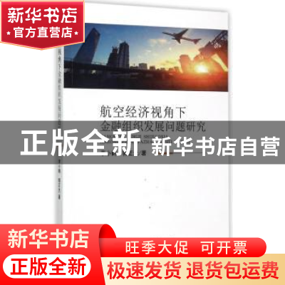 正版 航空经济视角下金融组织发展问题研究 李小鹤,郭正光 著 经
