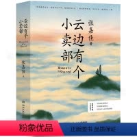 [正版]云边有个小卖部张嘉佳继从你的全世界路过让我留在你身边情人全套后的新书青春爱情文学励志成功情感小说书籍=湖南文艺