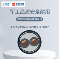 秦源牌 ZR-YJV22-0.6/1KV-2*6mm² 阻燃铜芯钢带铠装电力电缆 元/米 定制商品 联系客服