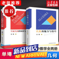 中科大初中数学代数的魅力与技巧+平面几何的知识与问题 单墫 初一初二初三初中数学解题规律方法与技巧