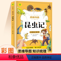 [彩图注音版]昆虫记 [正版]昆虫记注音版小学一年级二三年级原著完整版法布尔昆虫记全套适合小学生看的儿童文学书少儿经典名