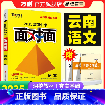语文 云南省 [正版]2025云南语文面对面初三总复习全套资料七八九年级初三语文模拟题训练历年中真题卷辅导书资料万维教育