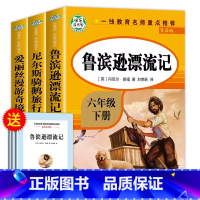 快乐读书吧 六年级下册[3本] [正版]全套3册 鲁滨逊漂流记六年级下册必读的课外书原着爱丽丝漫游奇境尼尔斯骑鹅旅行记老