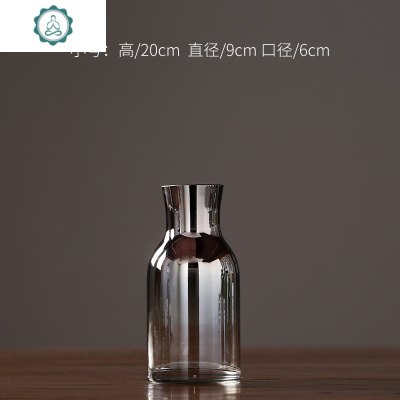 现代简约玻璃花瓶摆件插花客厅北欧创意家居餐厅电视柜水培干花器封后大号+6枝橄榄枝