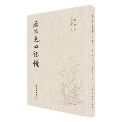 正版新书]流不走的记忆戴琼9787519053314