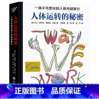 人体运转的秘密 [正版]恐龙百科全书 揭秘恐龙百科大全小学生史前恐龙动物绘本 三叠侏罗白垩纪恐龙时代世界王国儿童读物科普