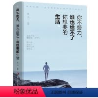 [正版]你不努力谁也给不了你想要的生活 健康阅读耐久保存质感封面印刷清晰 努力成为你想成为的那个人青少年正能量励志小说