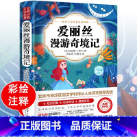 爱丽丝漫游奇境记 [正版]爱丽丝漫游奇境记书 爱丽丝梦游仙境书六年级下册必读书目 小学生课外书奇镜彩绘原版原著阅读书籍五