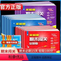 新版⭐语文+数学人教版[2本套装] 一年级下 [正版]2024小学春实验班期末闯关必刷卷一年级下册语文数学人教版苏教SJ