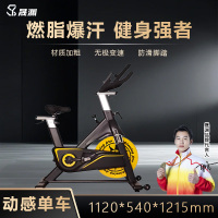 晟渊 动感单车室内家用磁控健身车静音运动自行车YP2133