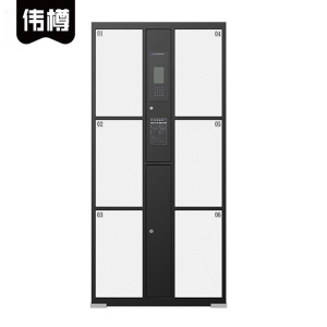 伟樽电子存包柜人脸识别6门850*460*1800mm台