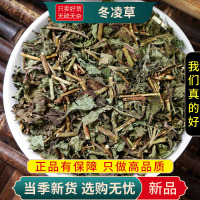 冬凌草100克正品新货无硫山香草雪花草冰凌草干泡水9260