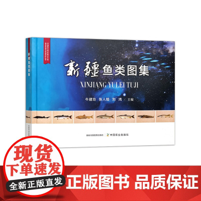 新疆鱼类图集(中国西北地区重点水域渔业资源与环境保护丛书)321939 牛建功,张人铭,刘鸿 2024.12