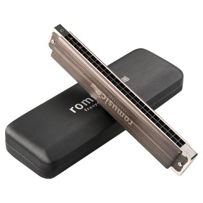 玫瑰木专业纪念版rosewood24孔复音C调口琴初学者儿童入门自学高级成人专业演奏乐器玫瑰木专业纪念版rosewood