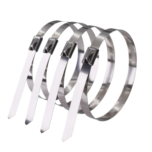 好企来 不锈钢扎带 BZ-0106 8*350mm 100条/包