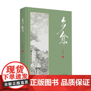 乡愈 王学武 著 中国文学