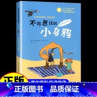 不可思议的小乌鸦 [正版]彩涂版不可思议的小乌鸦新蕾出版社正品世界经典桥梁书七周岁八周岁九周岁十周岁儿童课外阅读书籍三四