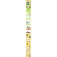 飞吧飞吧,小白伞(DFWW)