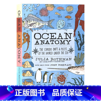 [正版]茱莉亚罗斯曼解剖学系列海洋解剖学 英文原版 Ocean Anatomy 儿童插图科普启蒙读物 探索海底世界的奇