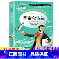 [正版]普希金诗选文集全集小说原著小学生青少年三四五六年级上下册通用彩图美绘插画名著邓敏华译吉林大学出版名师导读带批注
