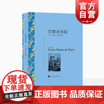 巴黎圣母院 译文名著精选 雨果著 管震湖译 世界名著书籍 外国文学小说书籍 外国名著经典读物 上海译文出版社