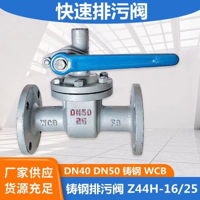 中锦科技 铸钢快速排污阀 DN40 台