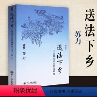 [正版]送法下乡 中国基层司法制度研究 修订版 苏力 基层法院审判 纠纷解决 规则治理 北京大学出版社 978730