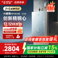 史密斯佳尼特[小精钢TCS5]13升精钢燃气热水器 国家补贴 JSQ26-TCS5 安全守护 持久恒温大水量 新品