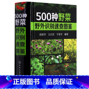 500种野菜野外识别速查图鉴 [正版]500种野菜野外识别速查图鉴 野菜识别特征实用方法 中医草药材识别图大全 生活常识