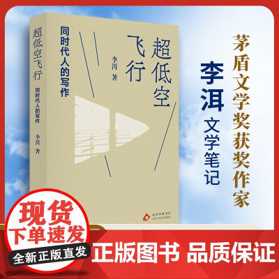 超低空飞行:同时代人的写作(李洱文学笔记 专业的鉴赏