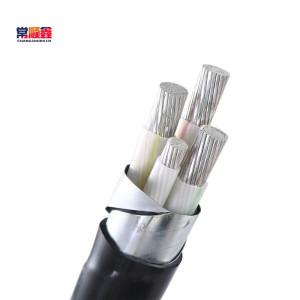 常顺鑫 低压铝芯电缆 ZC-YJLV22 3×70+1×35米