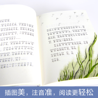 [M]小口袋童话:葛翠琳专集 没有脚的朋友(注音桥梁书)-9787559621177