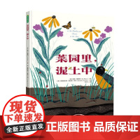 菜园里 泥土中 3-6岁 凯特·梅斯纳 著 儿童绘本