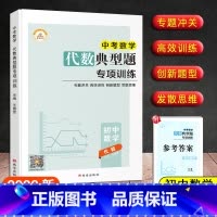 [代数]典型题专项训练 九年级/初中三年级 [正版]新版 初中数学中考版代数高效训练计算专题冲关几何典型题专项训练发散思