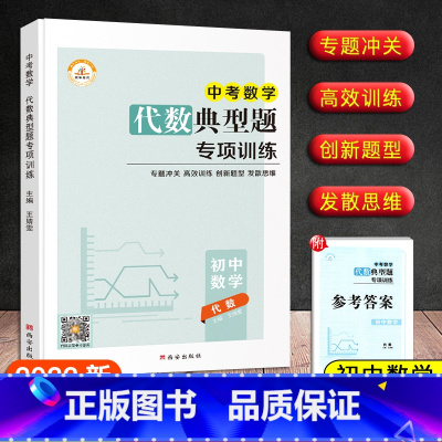 [代数]典型题专项训练 九年级/初中三年级 [正版]新版 初中数学中考版代数高效训练计算专题冲关几何典型题专项训练发散思
