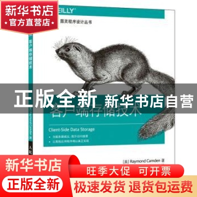 正版 客户端存储技术 [美]Raymond Camden 人民邮电出版社 978711