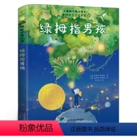[正版]绿拇指男孩 国际大奖小说 青少年儿童文学校园成长童话故事书小说 中小学生课外阅经典读物图书籍励志童书